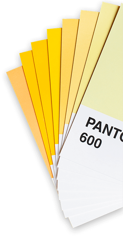 pantones pantones